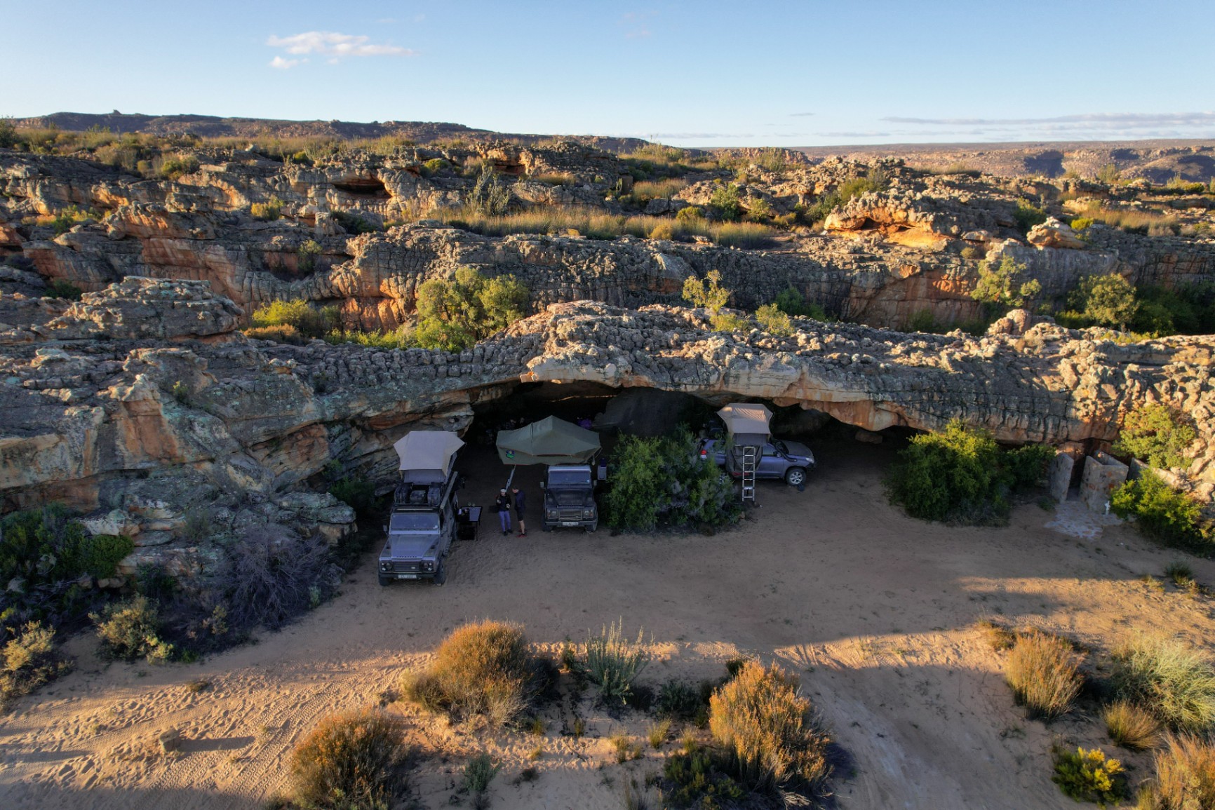 Lovers Lane - Zoo Ridge Farm - Image 1