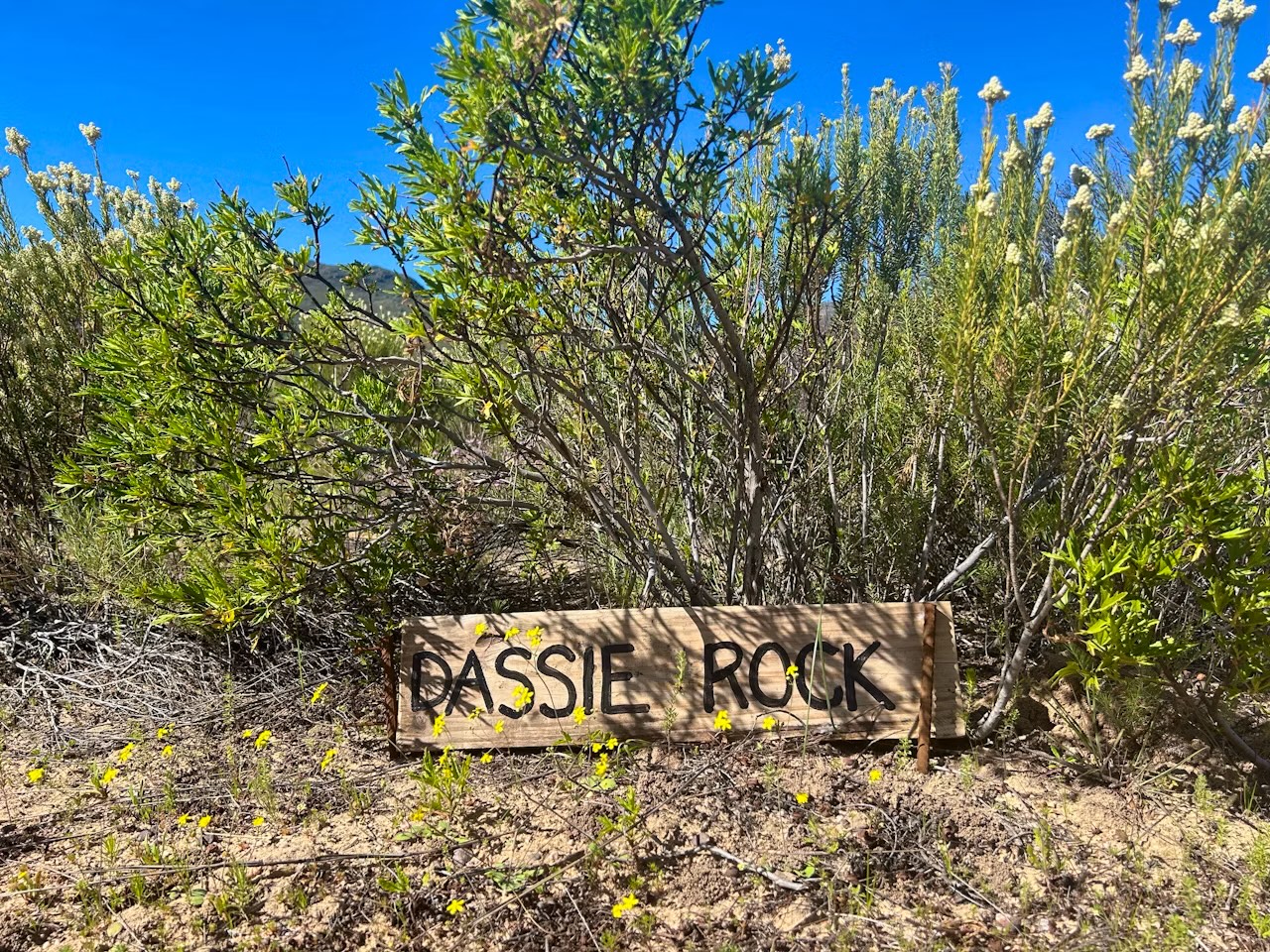 Dassie Rock Wild Camp - Image 1
