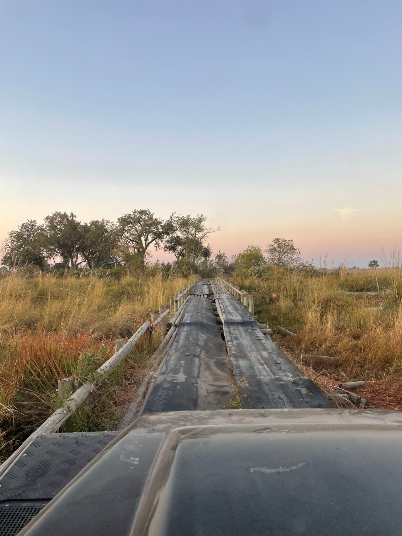 Third Bridge Camp (Moremi) - Image 1