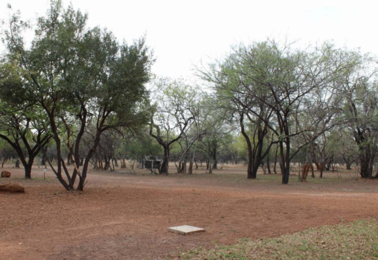 Eagles Nest Bush Camp - Image 1