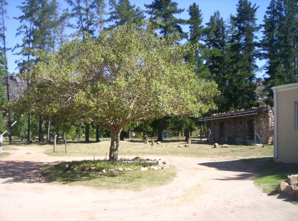 Beaverlac Nature Reserve - Image 1