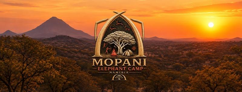 Mopani Elephant Camp - Image 1