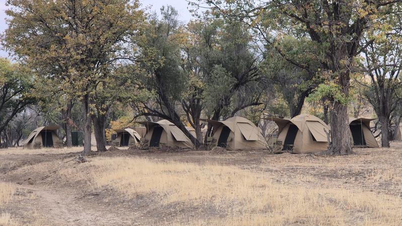 Mopani Elephant Camp - Image 5