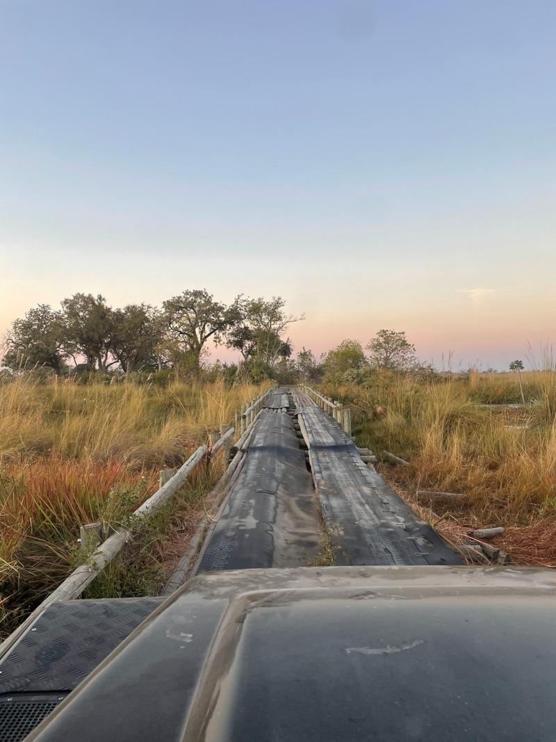 Third Bridge Camp (Moremi) - Image 1