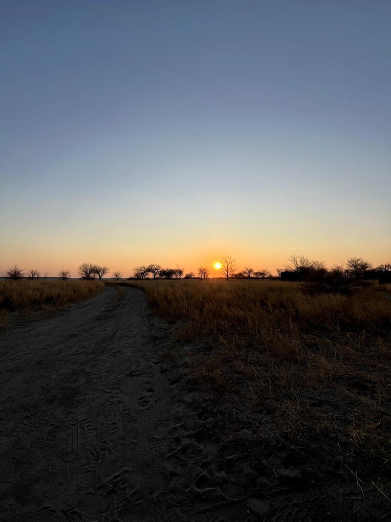 Baines Baobab - Image 5