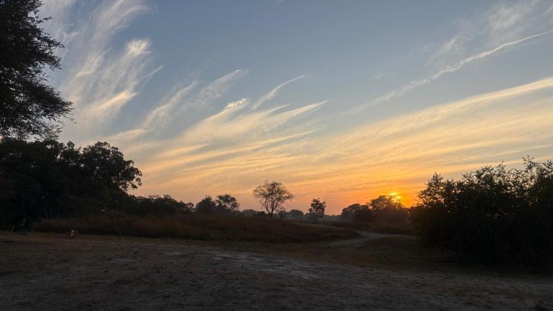 Bongololo - Image 2